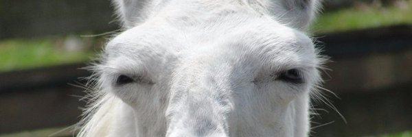 AndyGilder Profile Banner