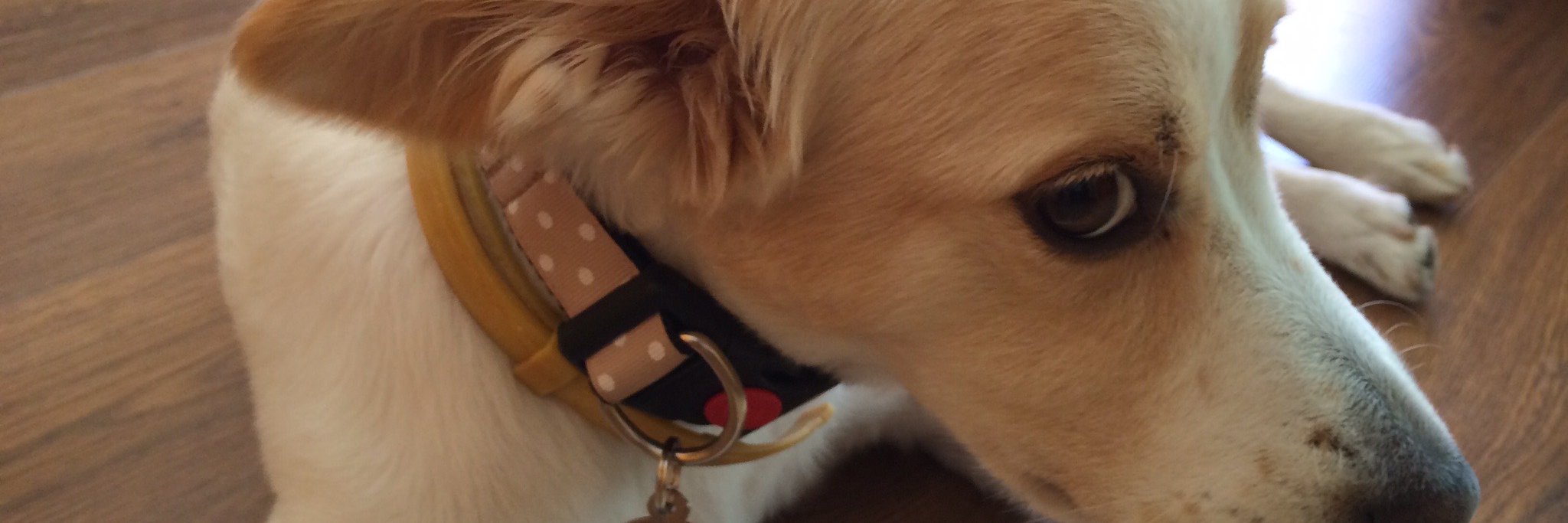 _mikes_'s profile banner image