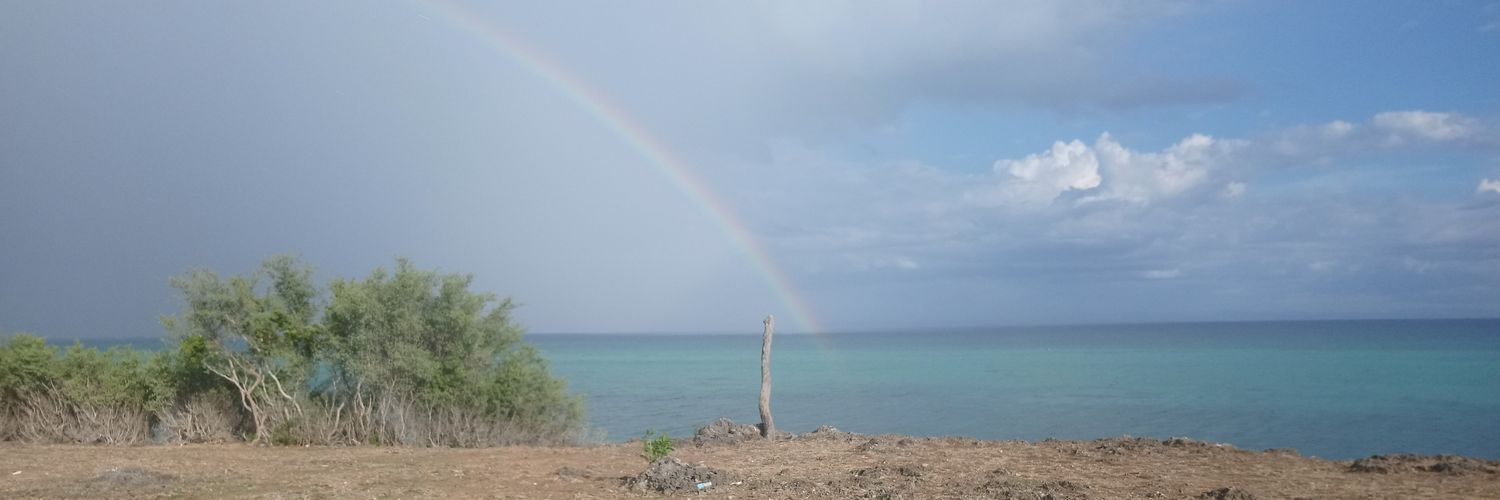 rheycel's profile banner image
