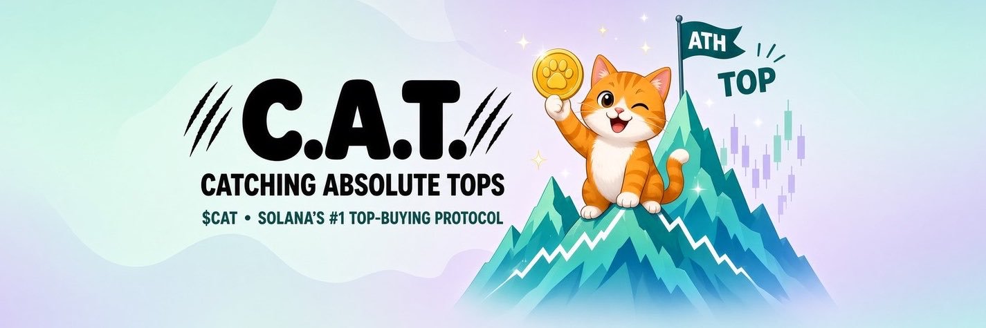 CatSol2026's profile banner image