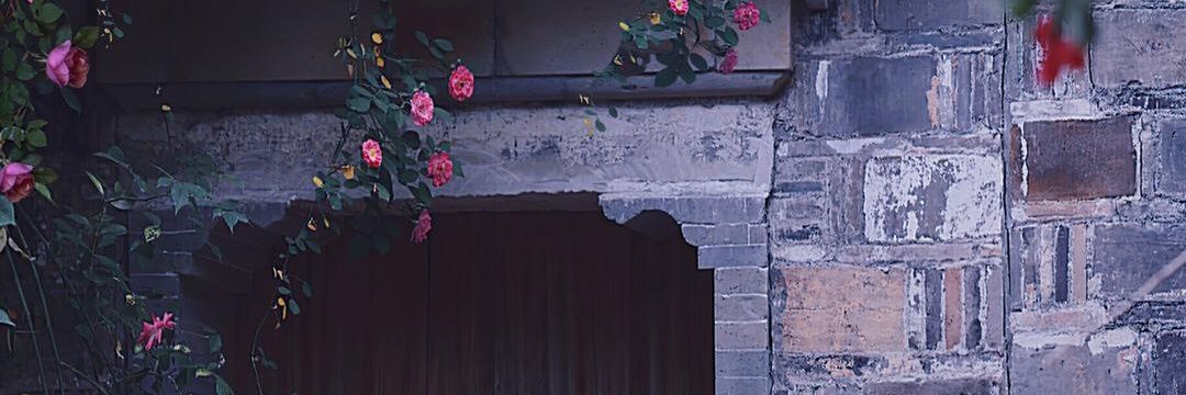 roz - kinda ia banner