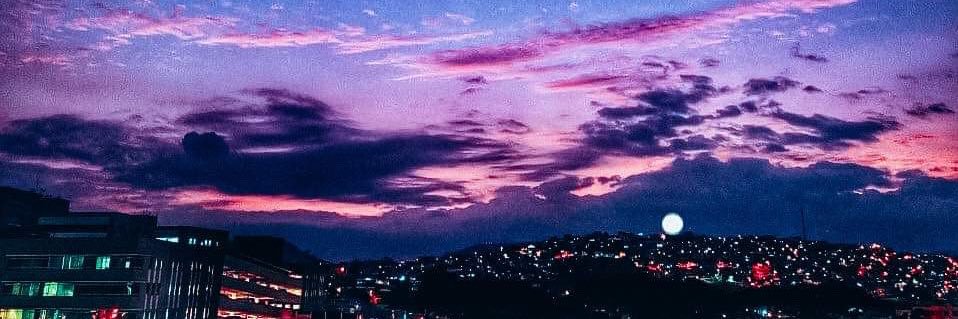 _olgaaleon's profile banner image