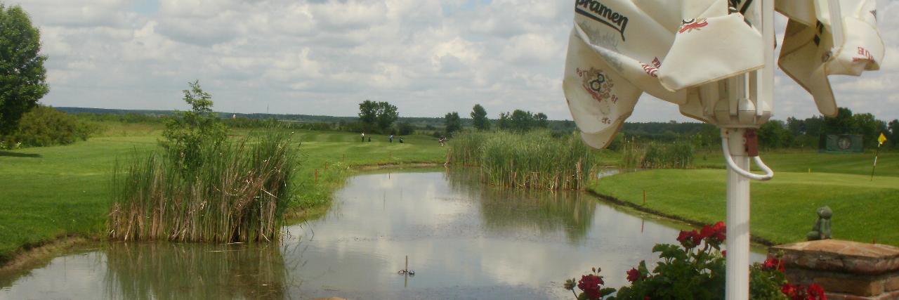 bslmg's profile banner image