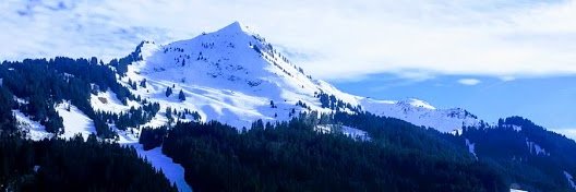Ben Hart banner