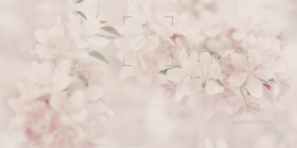 iCouldOnlyHope's profile banner image