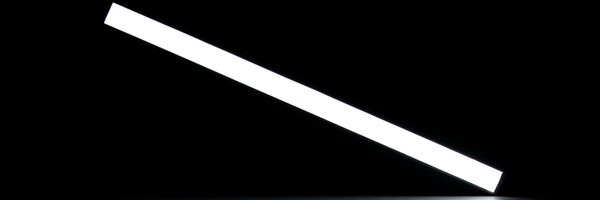 bonk Profile Banner