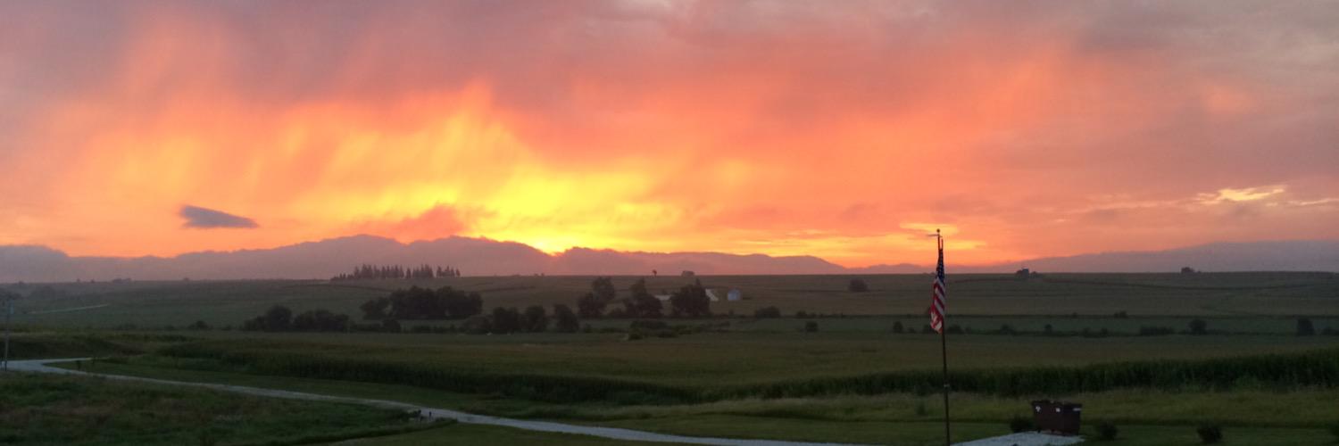 Bill Backhaus banner