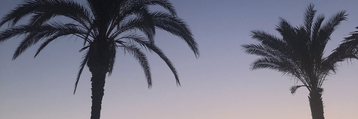 aliccceeeeee's profile banner image