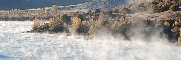 teodoratiger Profile Banner