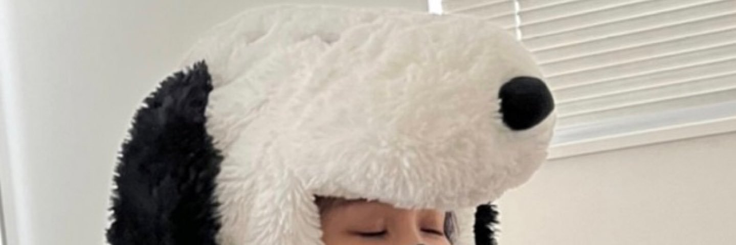 ぴぴぴ🐧🥟 banner