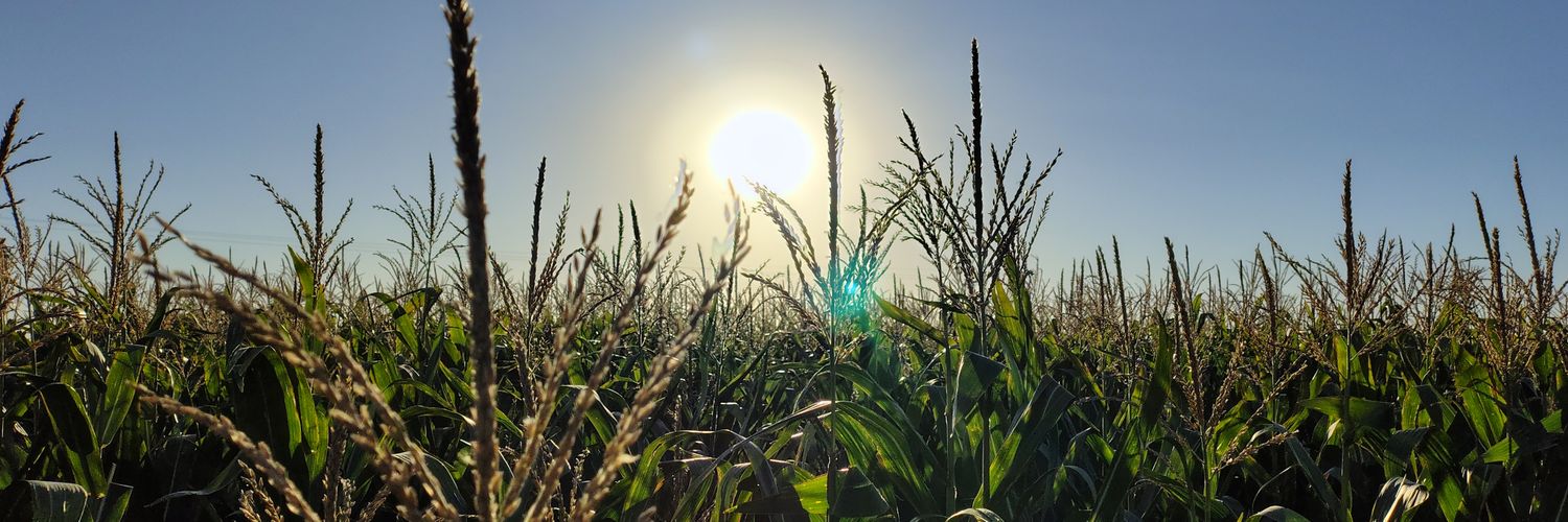 Joaquín Lascombes 🇦🇷 banner
