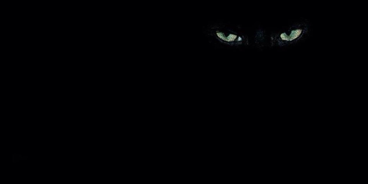 raphaelrandy's profile banner image