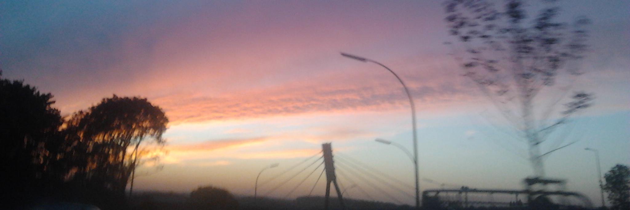 @mgjan.bsky.social banner