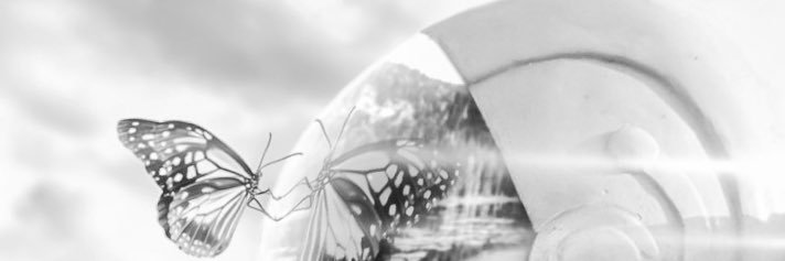 alankigen's profile banner image