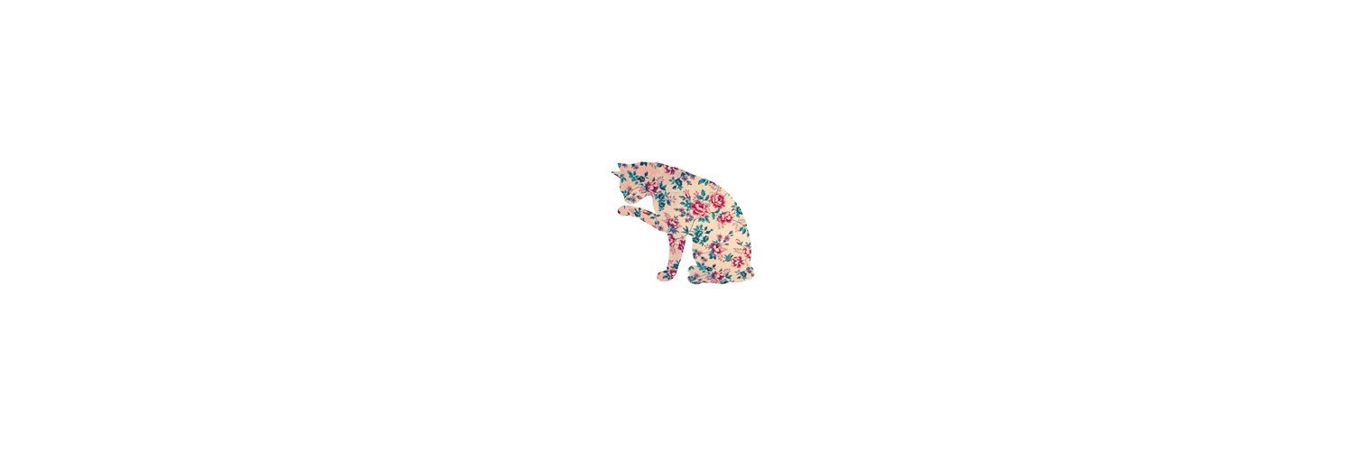 zanglnw's profile banner image