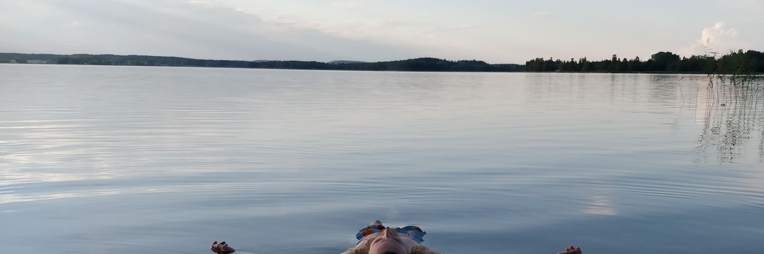Fiskipojken's profile banner image