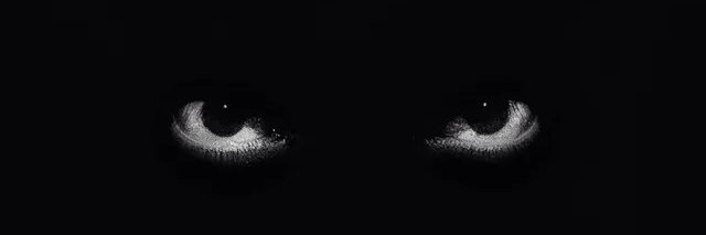 xalexec's profile banner image