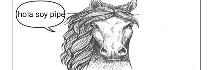 Piprepucio's profile banner image