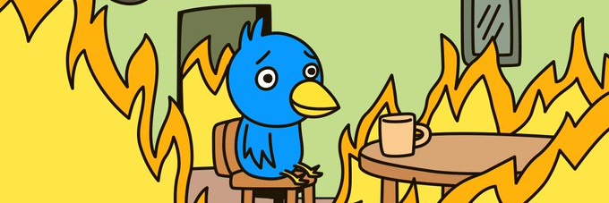 timwindsor's profile banner image