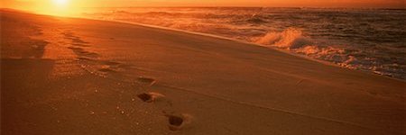 aedra_edc's profile banner image