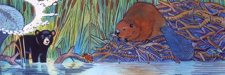 Maxwell the Beaver banner