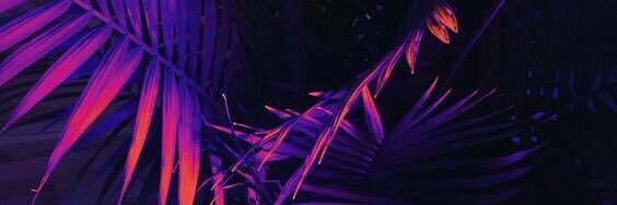 lizmrr's profile banner image