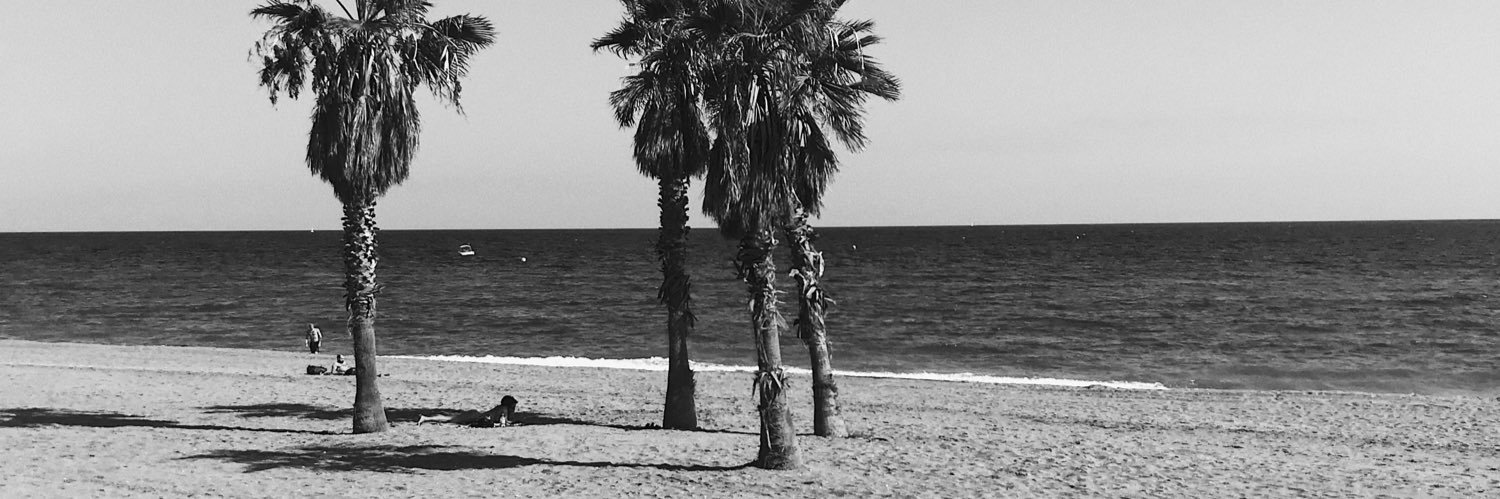 __dssss's profile banner image