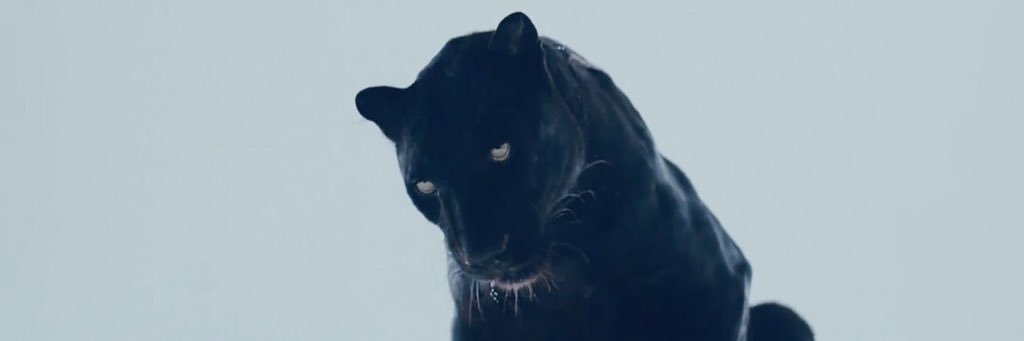 Arnaudtr_'s profile banner image