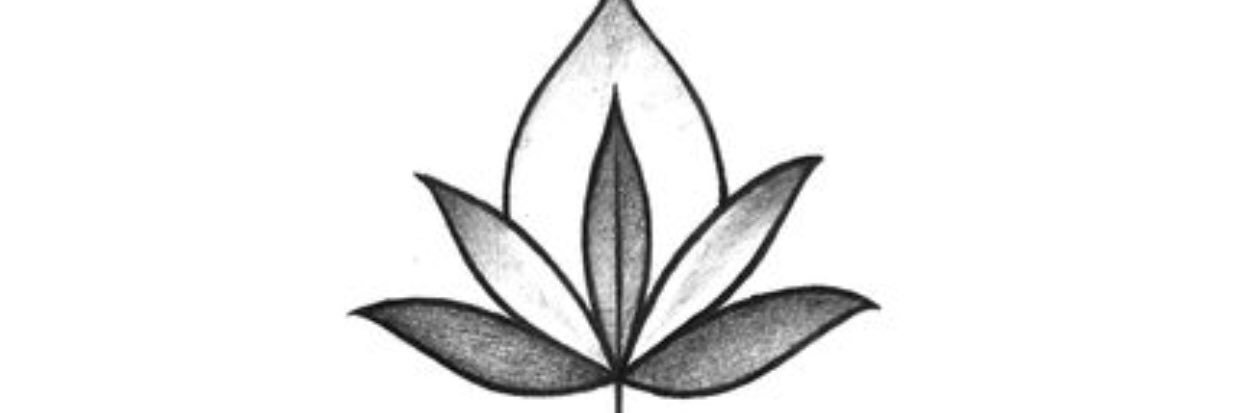 teregiannelli's profile banner image