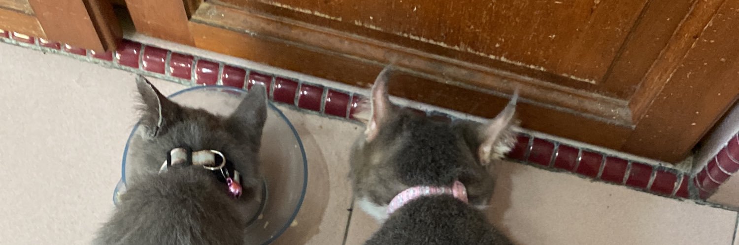 ellyphvnt's profile banner image