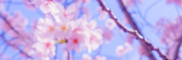 JustDewirp's profile banner image