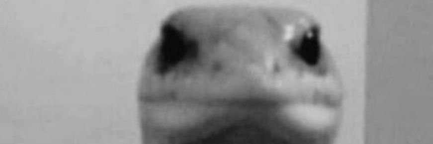Stillfly_y's profile banner image