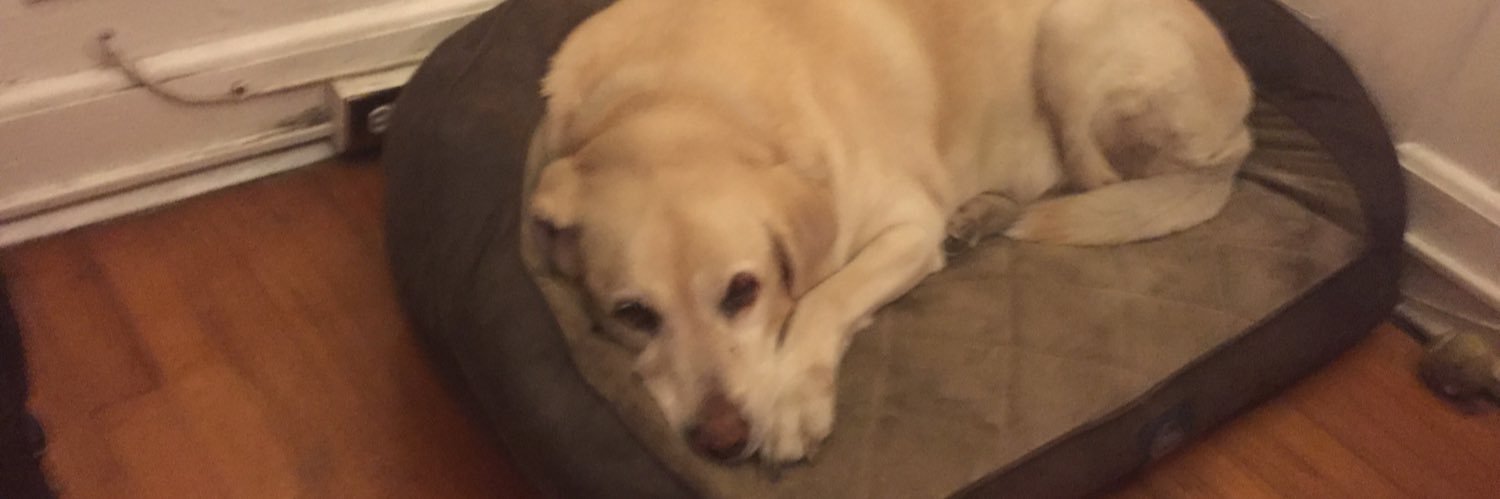 freerick22's profile banner image