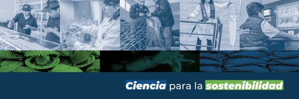 ImarpePeru Profile Banner