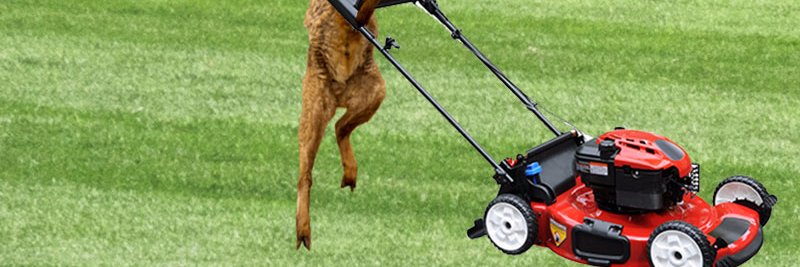 #HoofTapSports🐐 banner