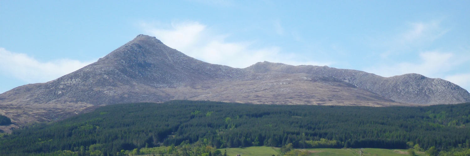 Kevin Anderson banner