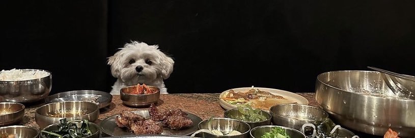 quartkneeXD's profile banner image