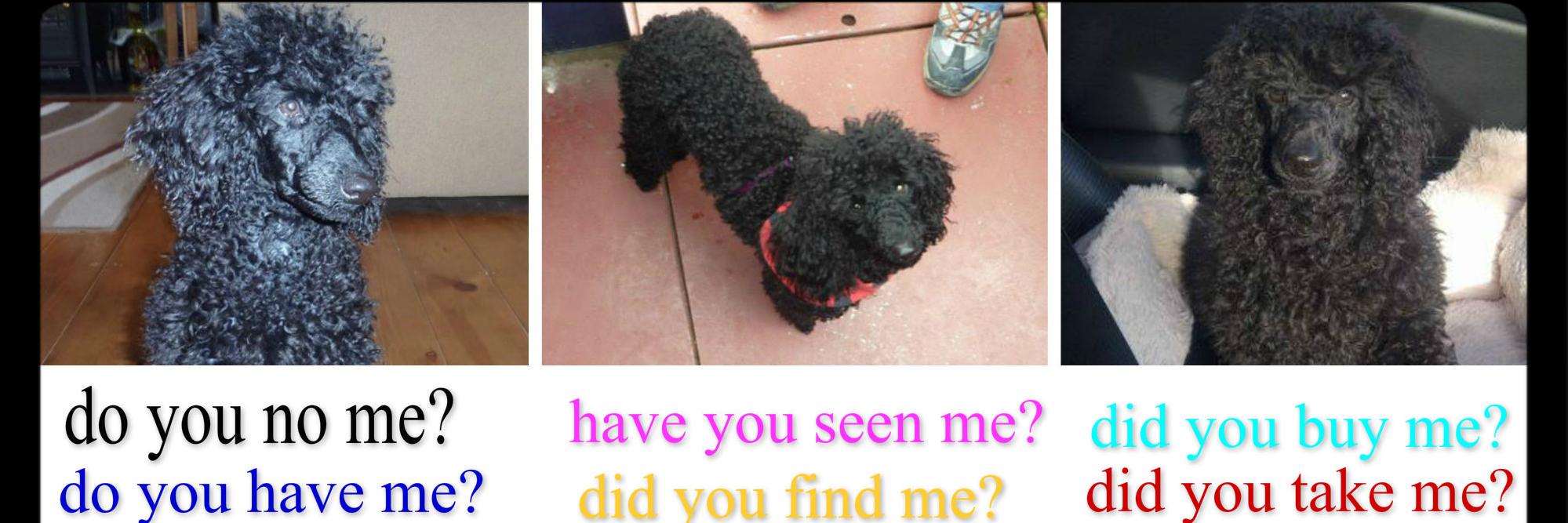 findmilly's profile banner image