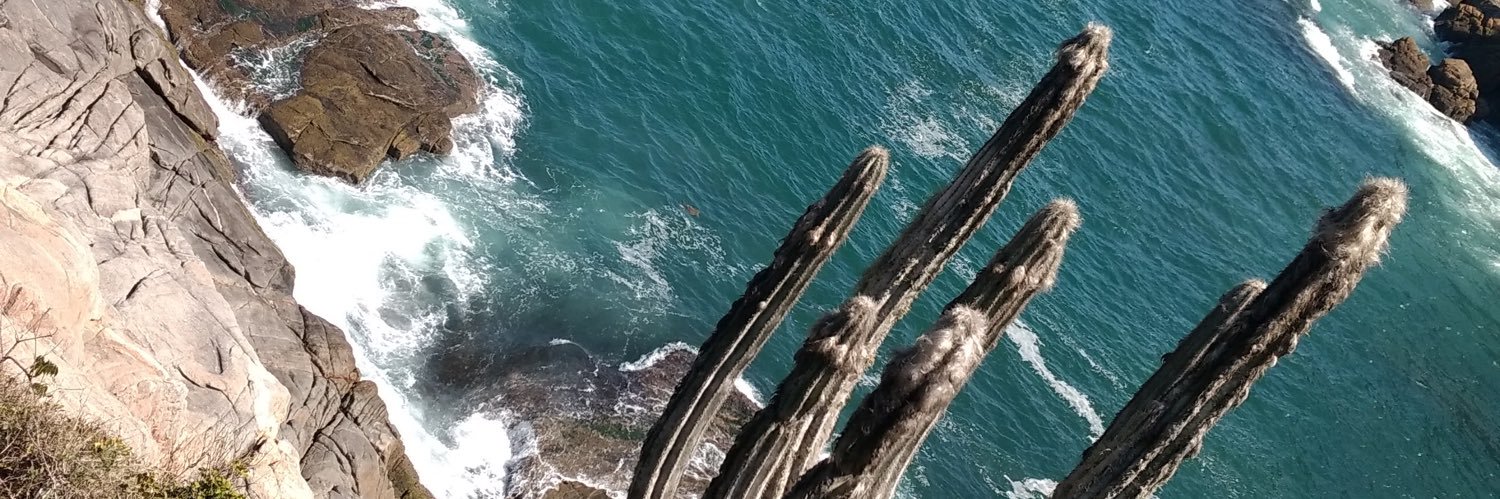 sergio junior banner