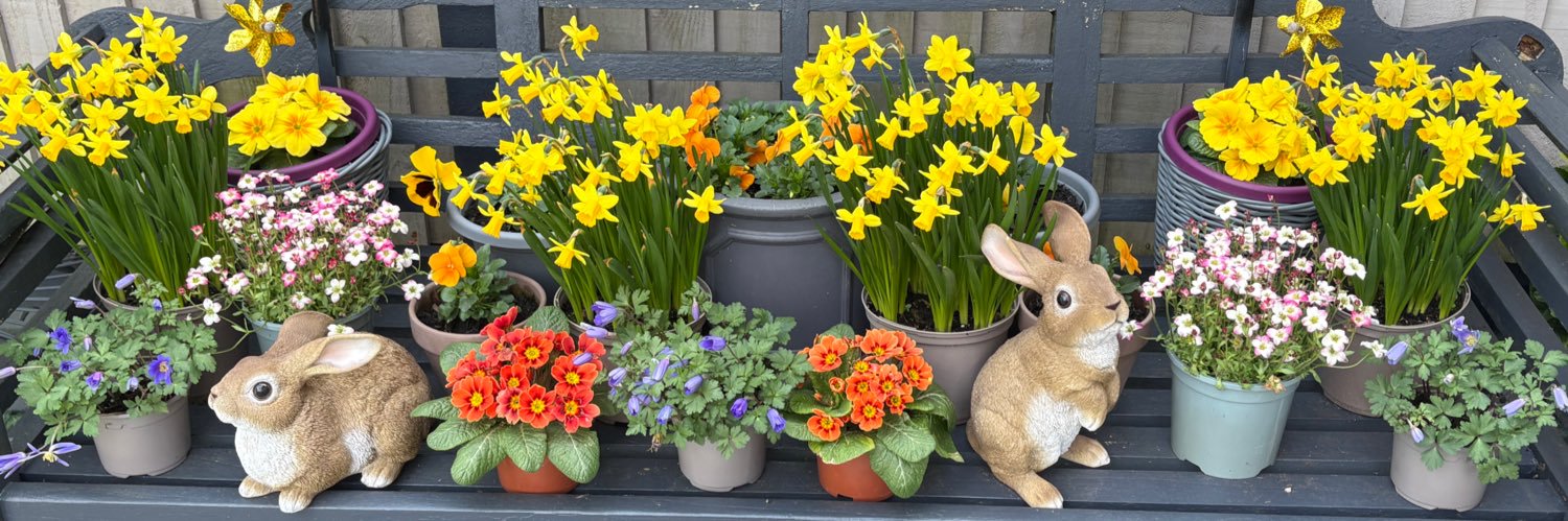 Julia Dennison 👒🌺🌷🪴🦚🦩🦋 banner