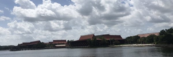 suebbing Profile Banner