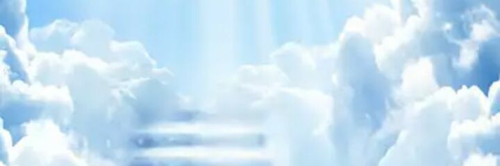 DolorosaYoung's profile banner image