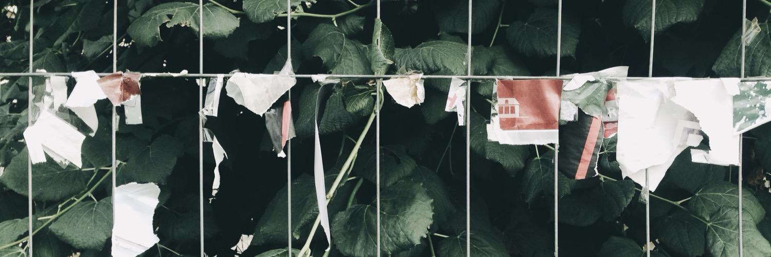 fleursrejetees's profile banner image
