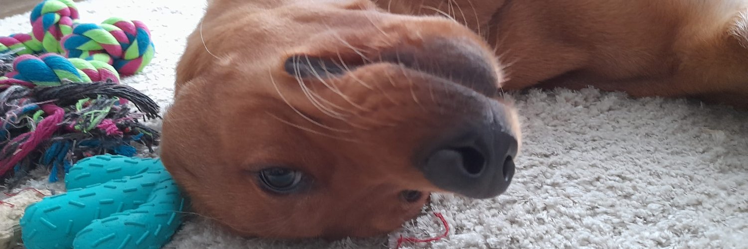 Kăskă (she/her)🏳️‍⚧️ banner