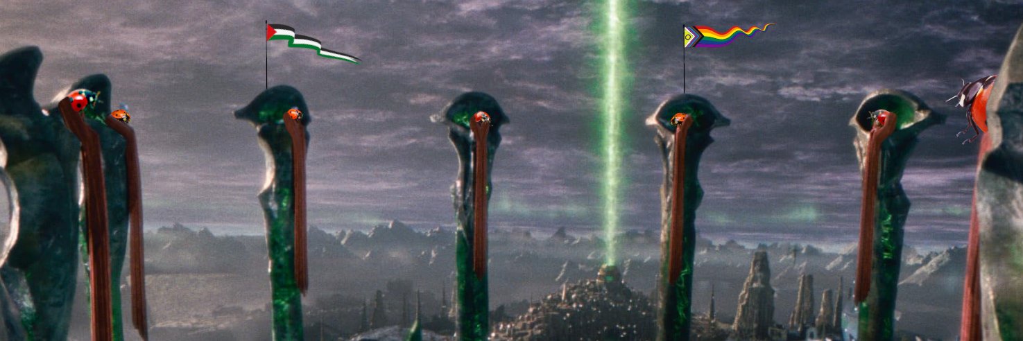 the ladybug high council banner