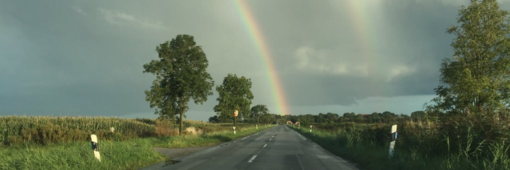 hodittsche's profile banner image