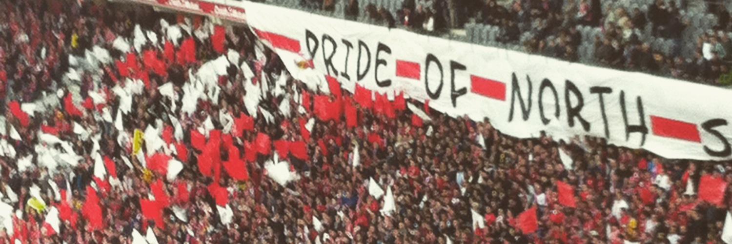 Romain banner