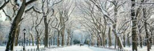 Cesar71042's profile banner image