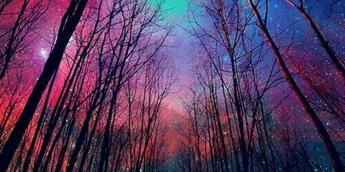 ShayBorbonF's profile banner image