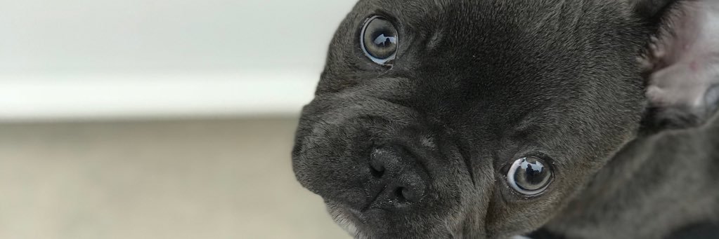 margauxmsst's profile banner image